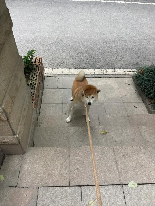 我害怕！我是有夫之妇！
