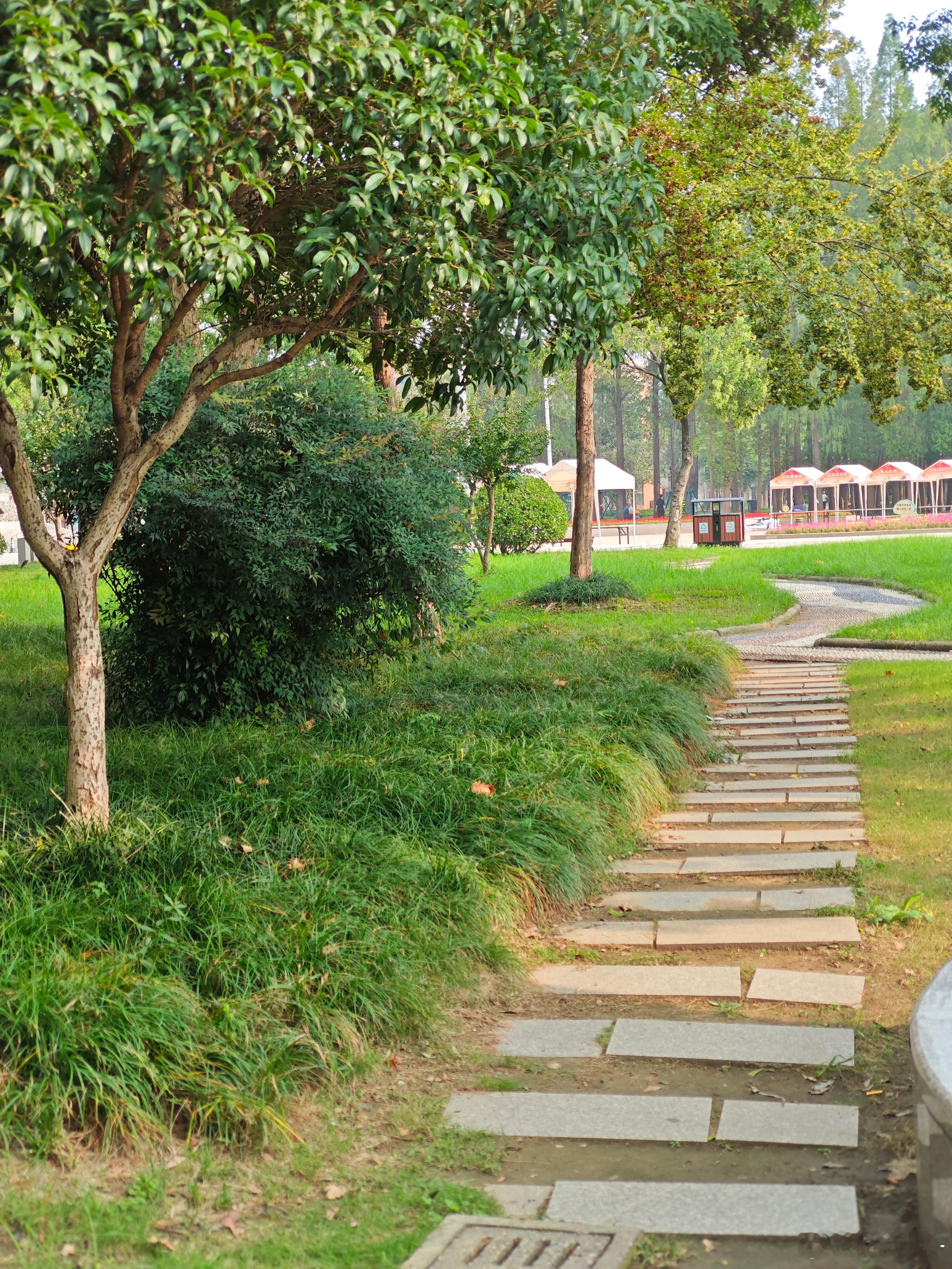 生活，其实和天气一样，有阴，有晴，有风，偶尔还会有点雨；生活，免不了酸甜苦辣；人