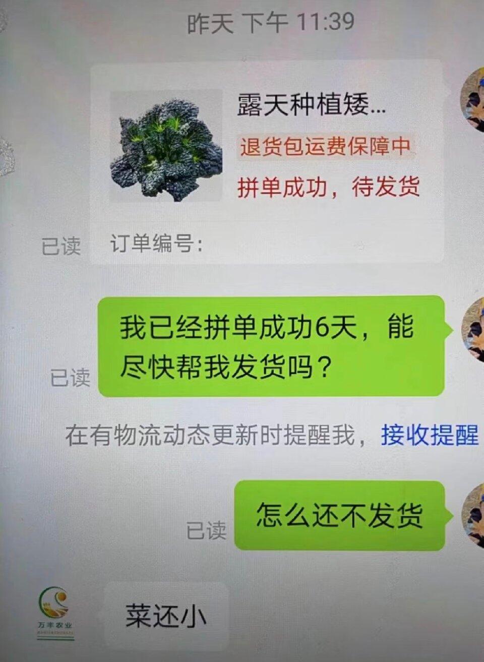 客服日记 