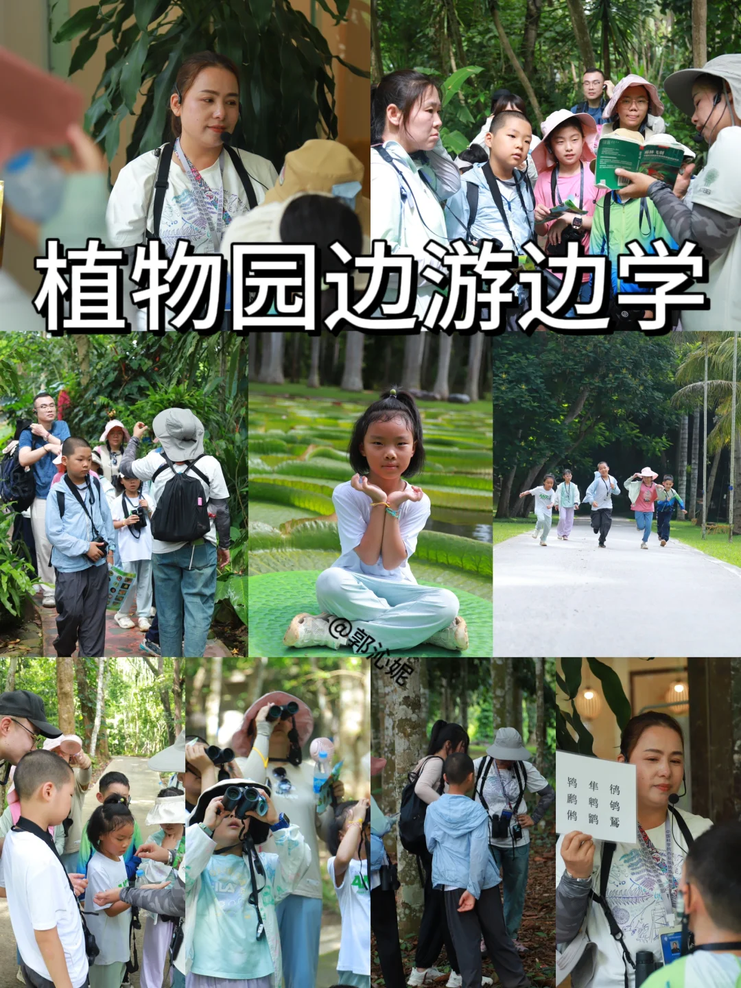 来了西双版纳 咋能错过中科植物园研学？