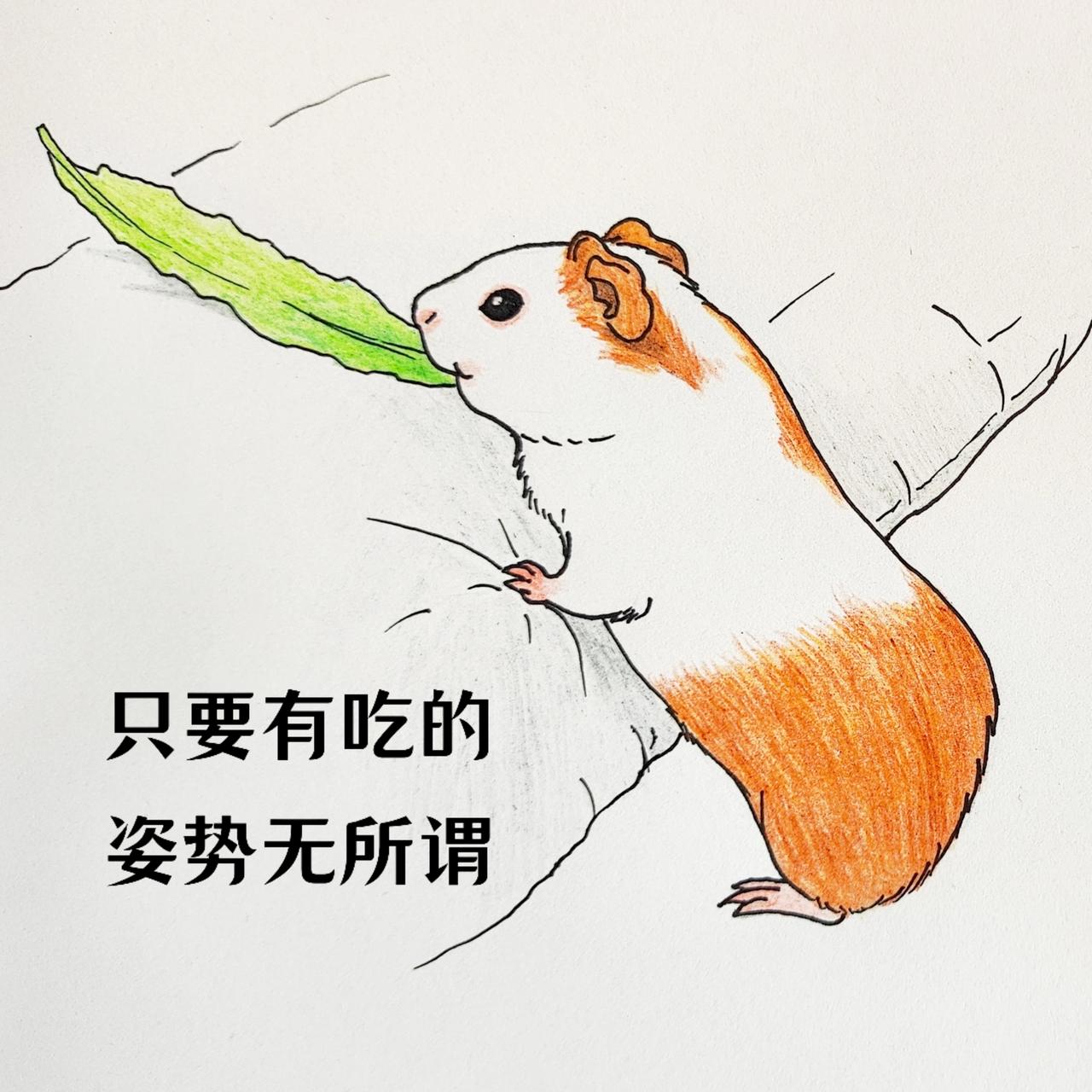 43岁宝妈重启人生之画画(06)想看书，先买书，想画画，先买笔。

最近开始重启