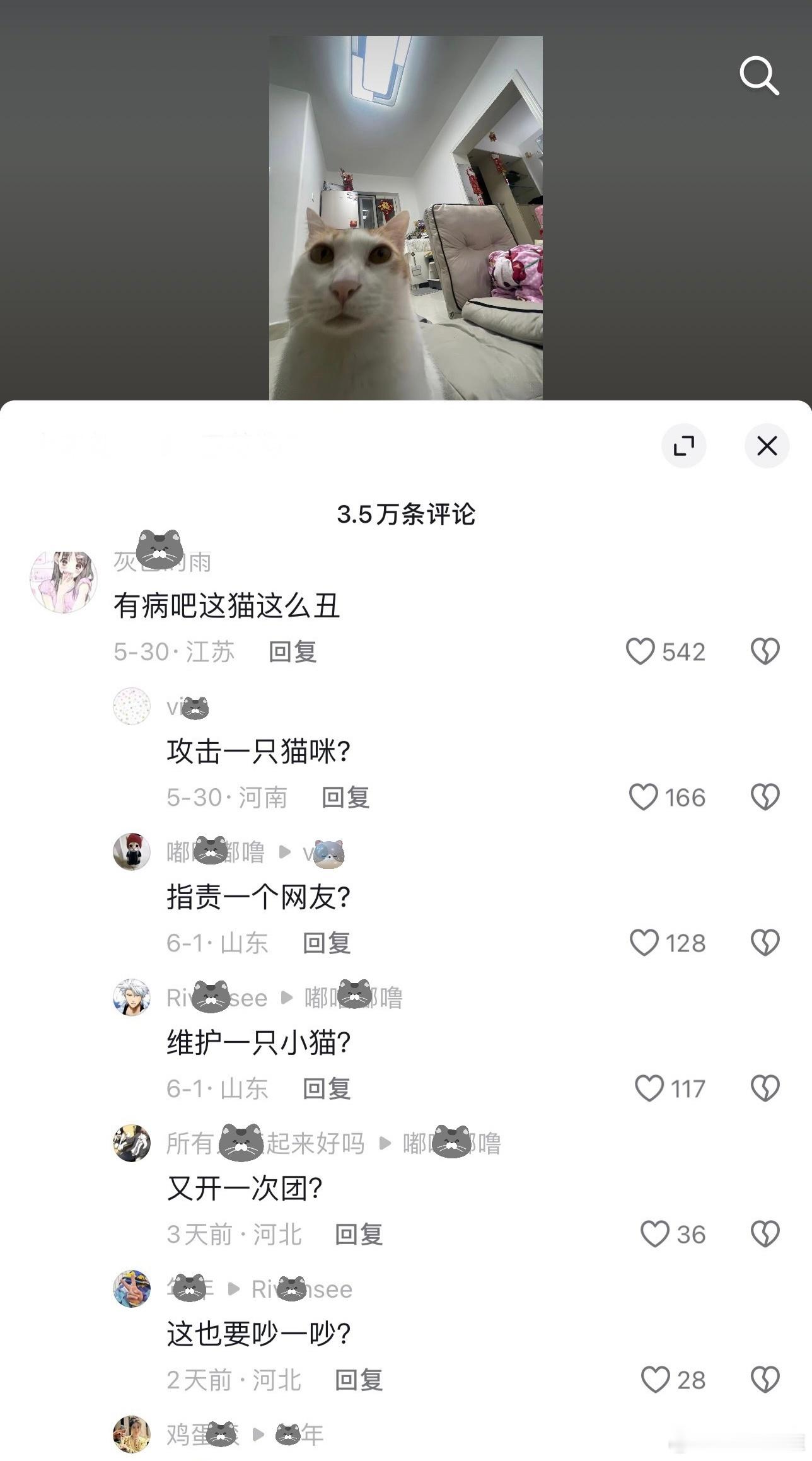 谁懂我的笑点 ​​​
