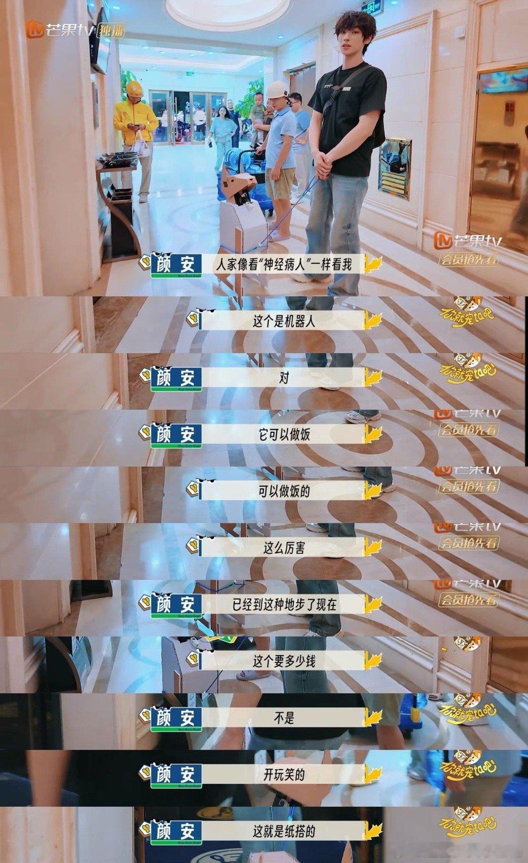 用芒果预告打开抽象宠综 《好一个乖乖锤》简直是周一的“快乐开关”！锤娜丽莎女王气