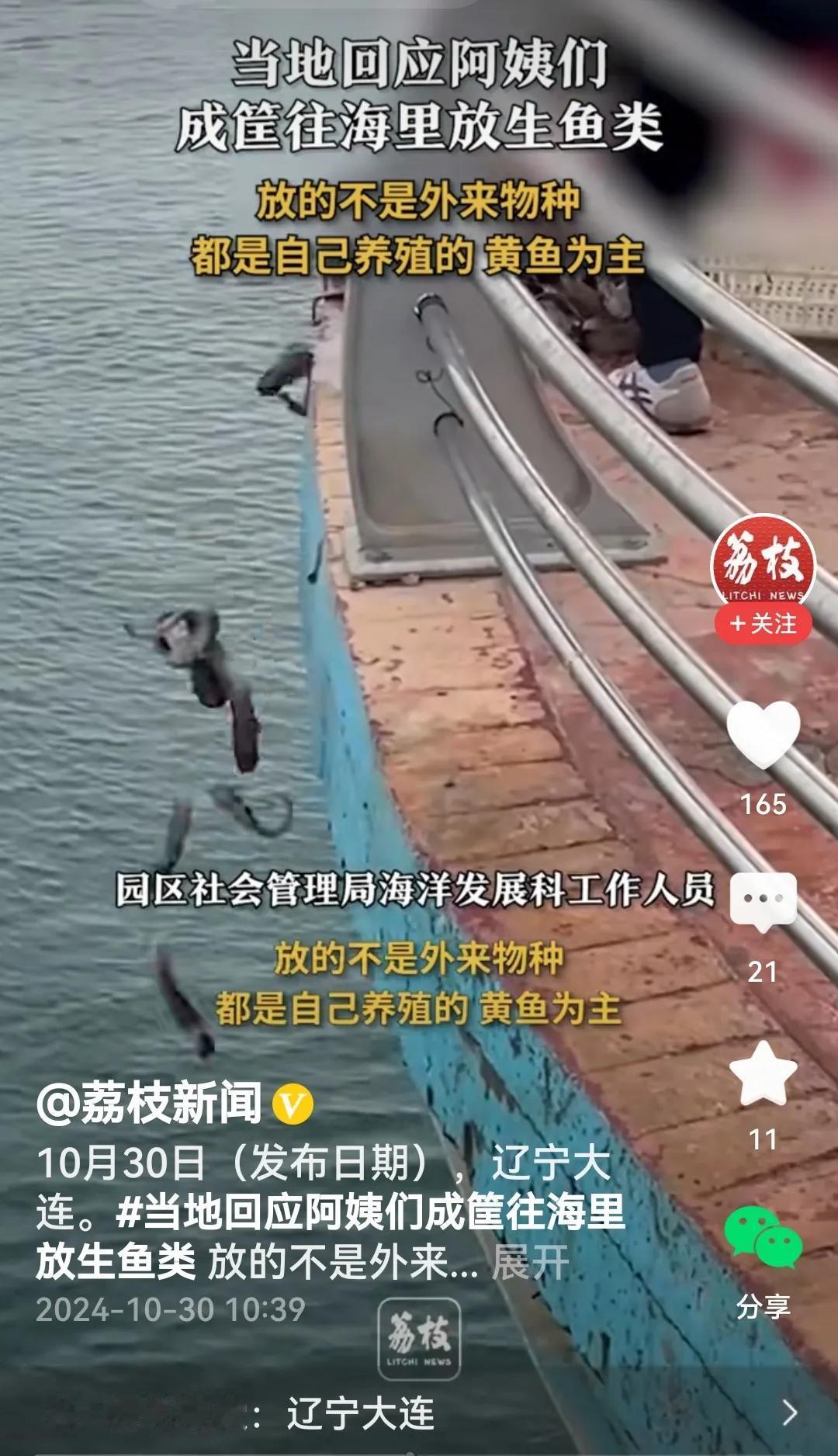 #大妈成筐往海里放生鱼类 官方回应#
看视频，大妈们应该是在大连东港栈道上放生鱼