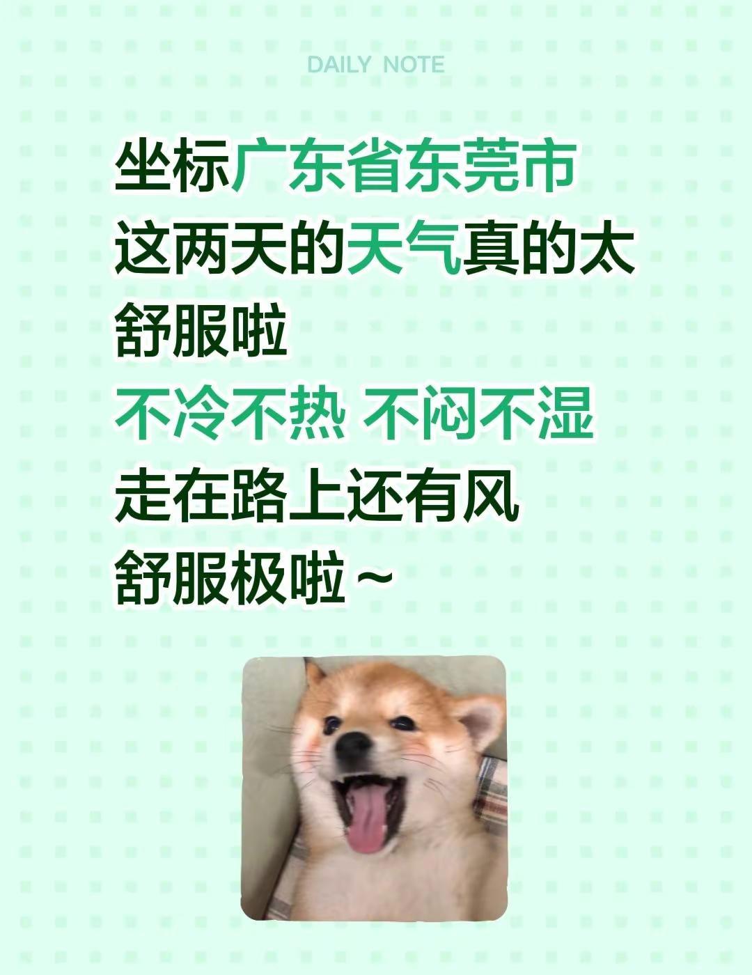 坐标广东省东莞市这两天的天气真的太舒服啦不冷不热 不闷不湿走在路上还有风舒服极啦