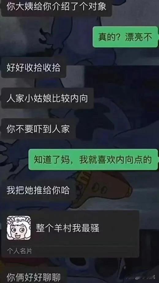 这种应该是走沙雕路线的，反而很靠谱