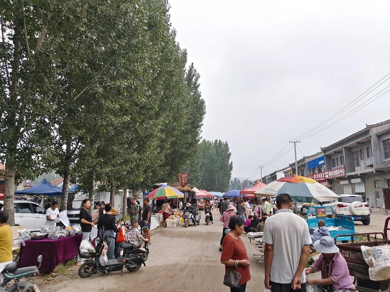 山东大集的馄饨
1-今天赶集的是沂水县姚店子集，逢二七，具体地址在姚店子大桥东头