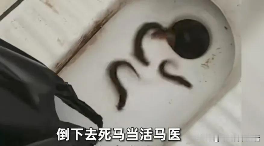 绝招分享：女子花200元请师傅疏通下水道，结果白忙活一天，还是没成功，钱打了水漂