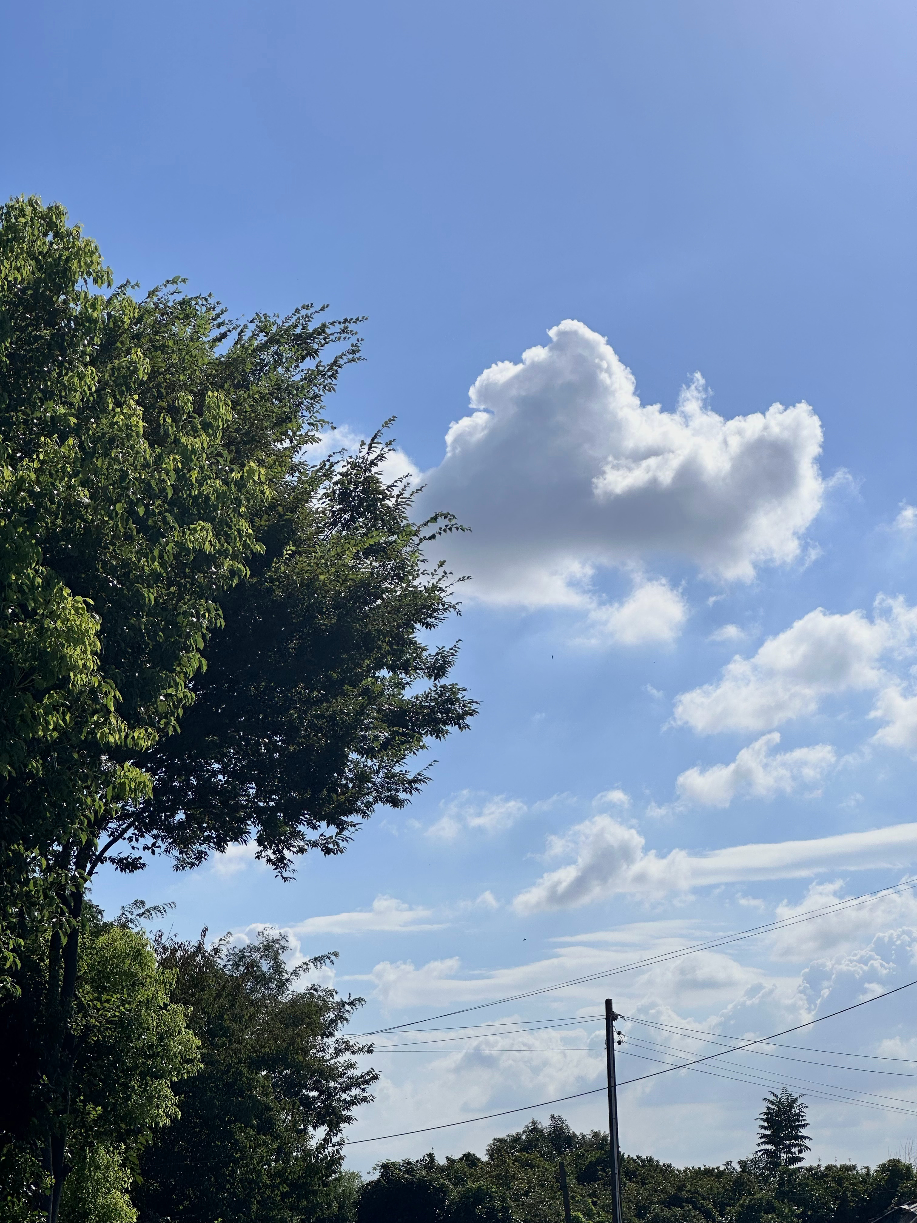 又给老婆们分享好看的天空☁️狗子哥说很有记忆中夏天的感觉 