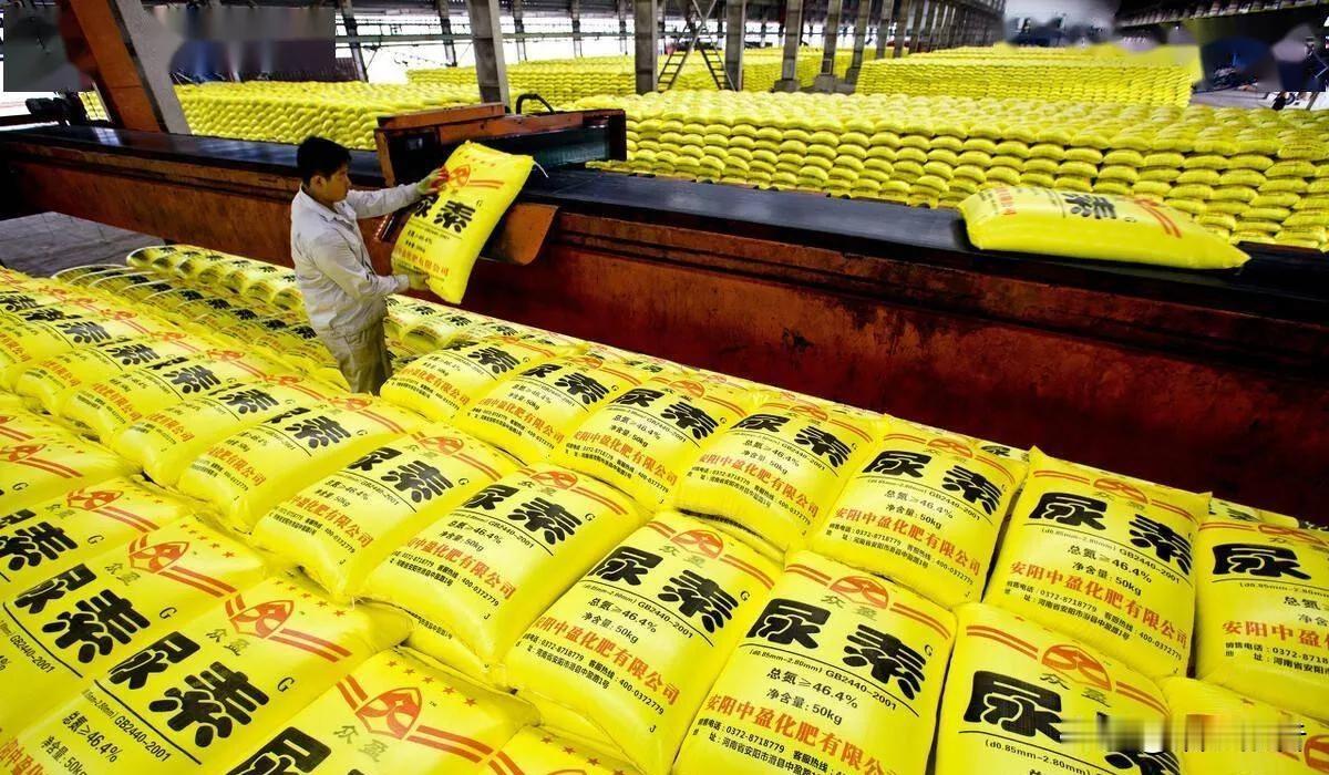 手里攥着钱，买不到东西。这种事，2026年真的发生了。印度250万吨尿素全球招标