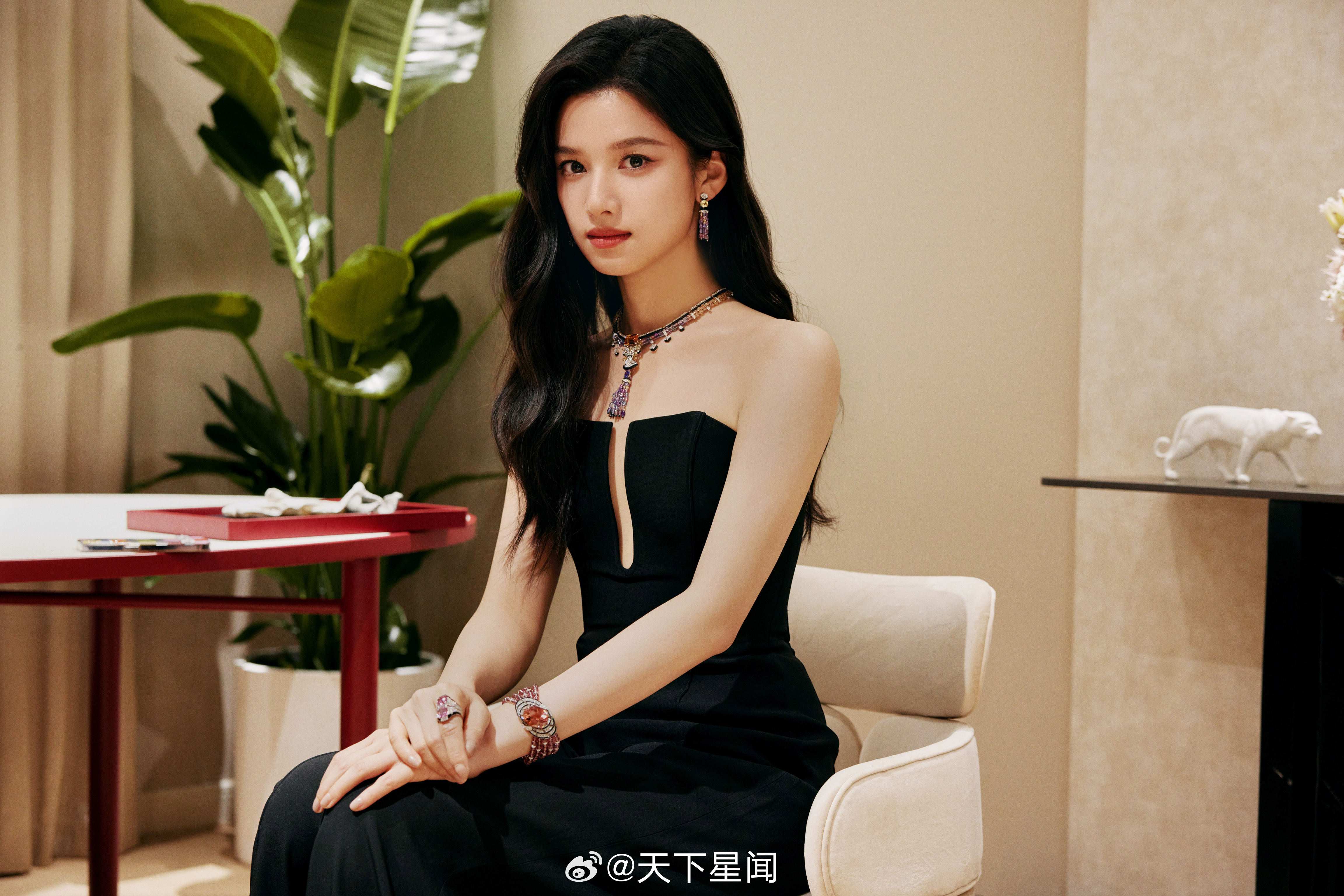 张婧仪 