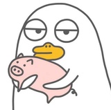 珊爱说科技