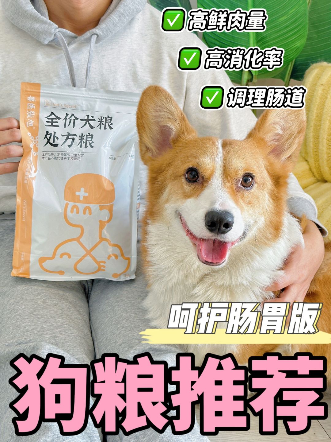 2024优质狗粮挑选指南！肠胃狗粮！怎么选？