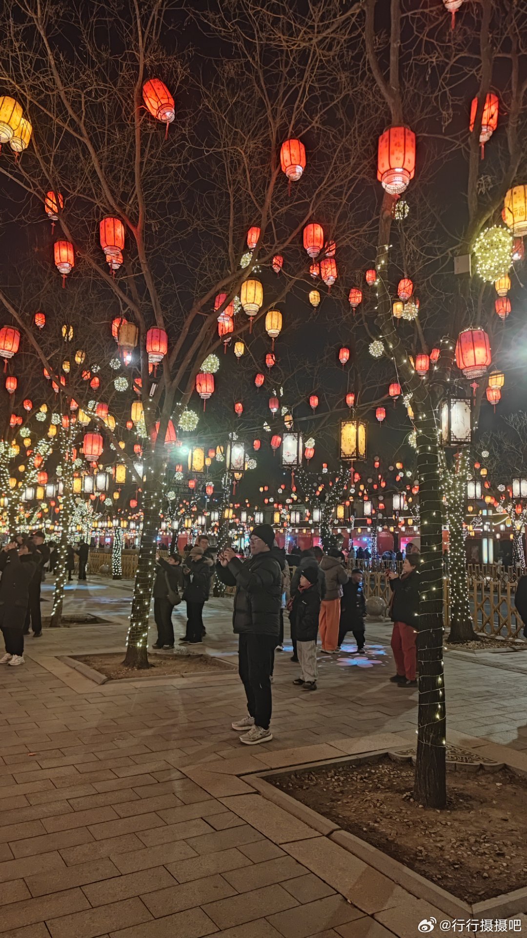 北京同庆街赏花灯  摄影