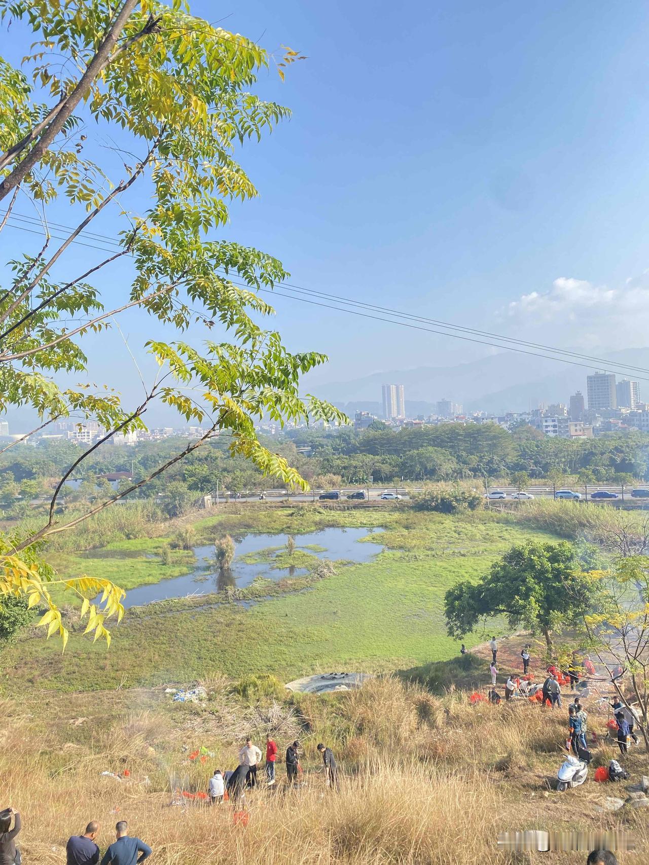 站在坡上往下看，底下的水塘泛着光，草地绿莹莹的，远处的楼房和山影模模糊糊的，衬得