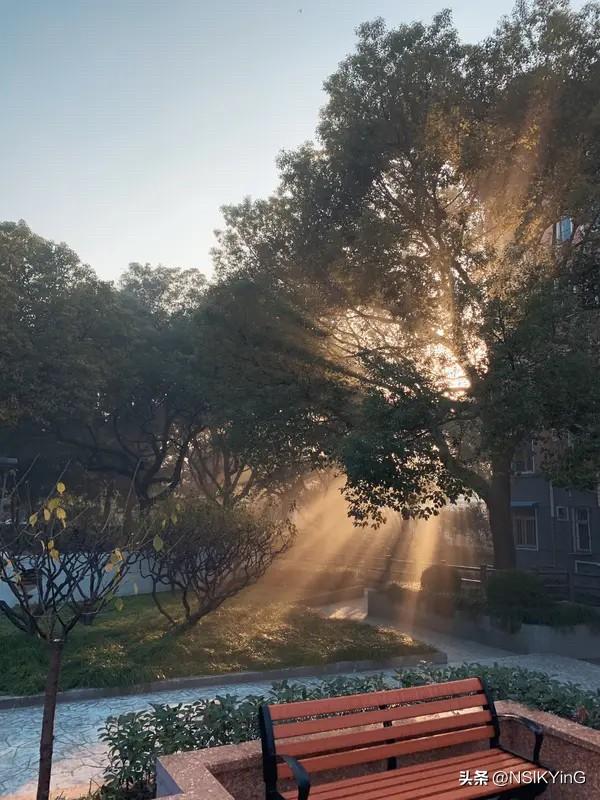 收集晨光与日落，把琐碎日常拼成诗。新年用心生活，每一天都是向往的样子。