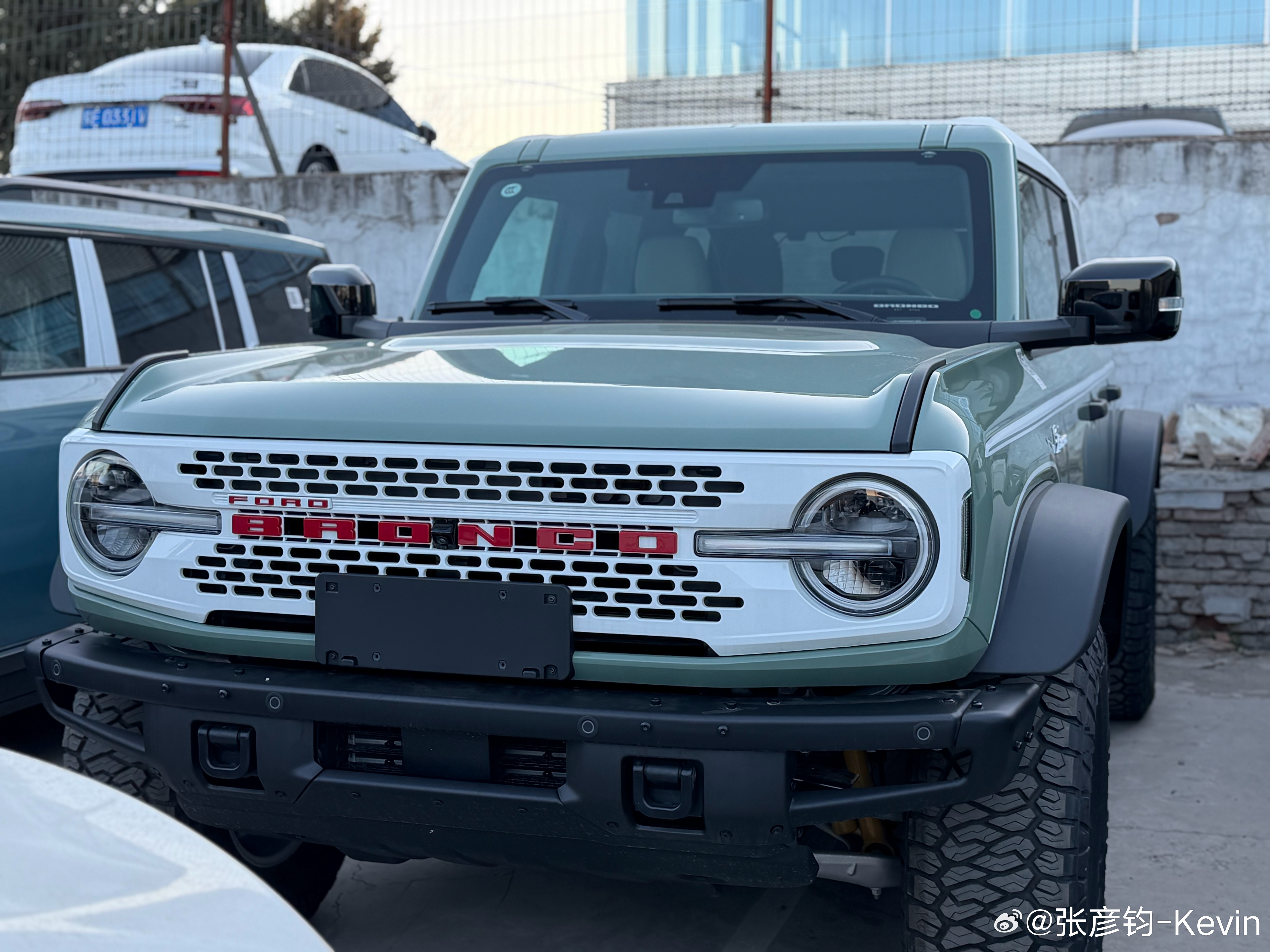 来福特看了看烈马1966特别版，我喜欢这个水晶石绿！好漂亮！翼子板车标也用了老B