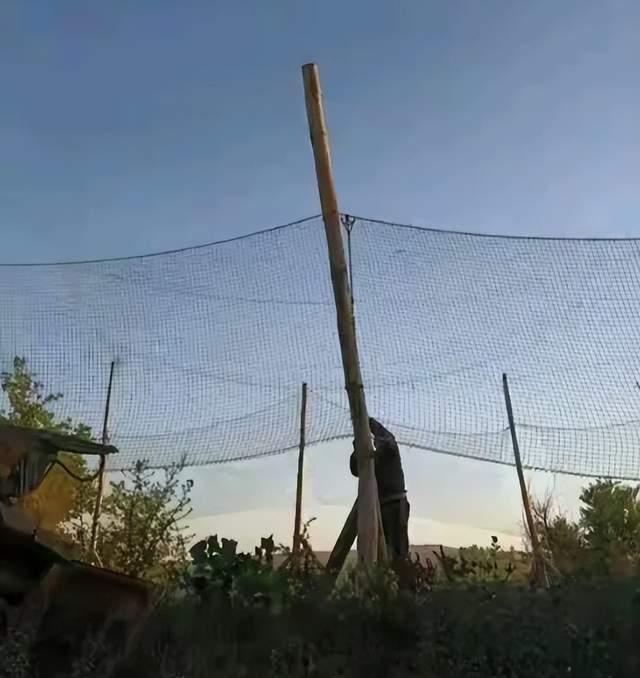 前线乌军发明钓鱼竿反无人机打法，法国农民把旧渔网铺满公路，俄乌战场正用百万美元拦