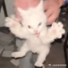 3095啊哈啊啊啊啊啊啊啊家产家产家产家产家产家产家产家产家产家产家产家产家产 