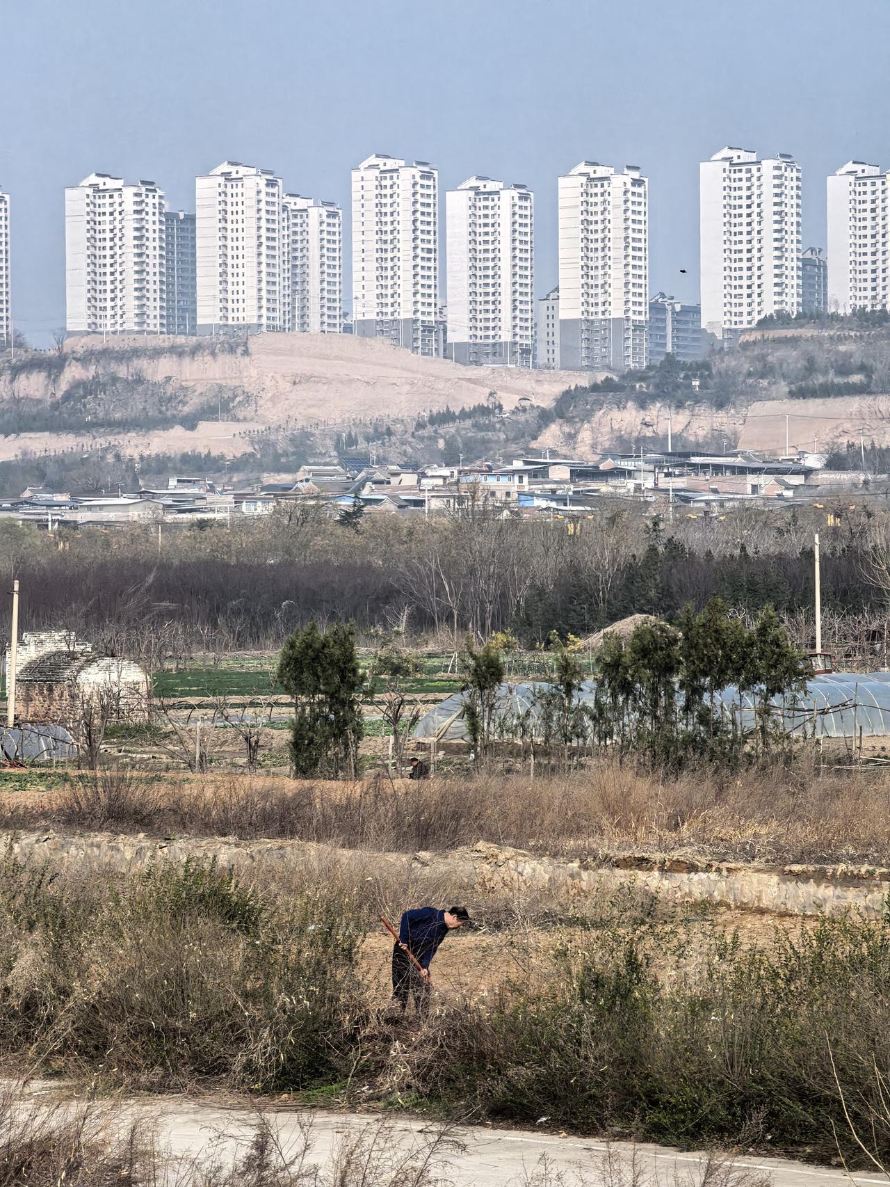 记录我的2026城里人看见花开才知春到，而农人们在田中劳作，是比春花更浪漫的春色