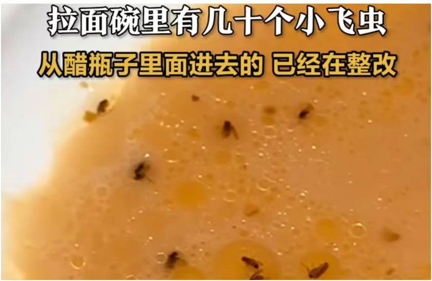 网友在味千拉面里吃出十几个小飞虫这事太离谱了。10月13日晚，深圳一网友发视频，