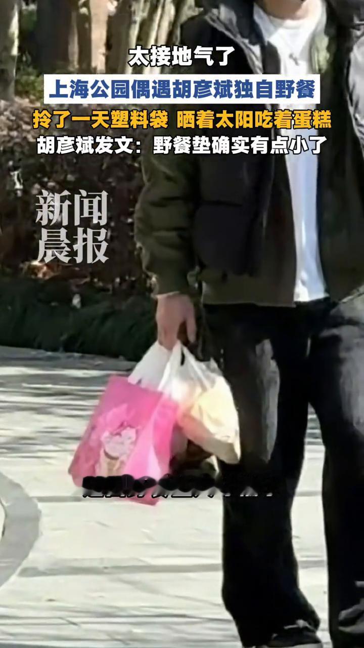 哥，野餐垫是不是有点小了？太接地气了。
晨报。
上海公园偶遇胡彦斌独自野餐，拎了