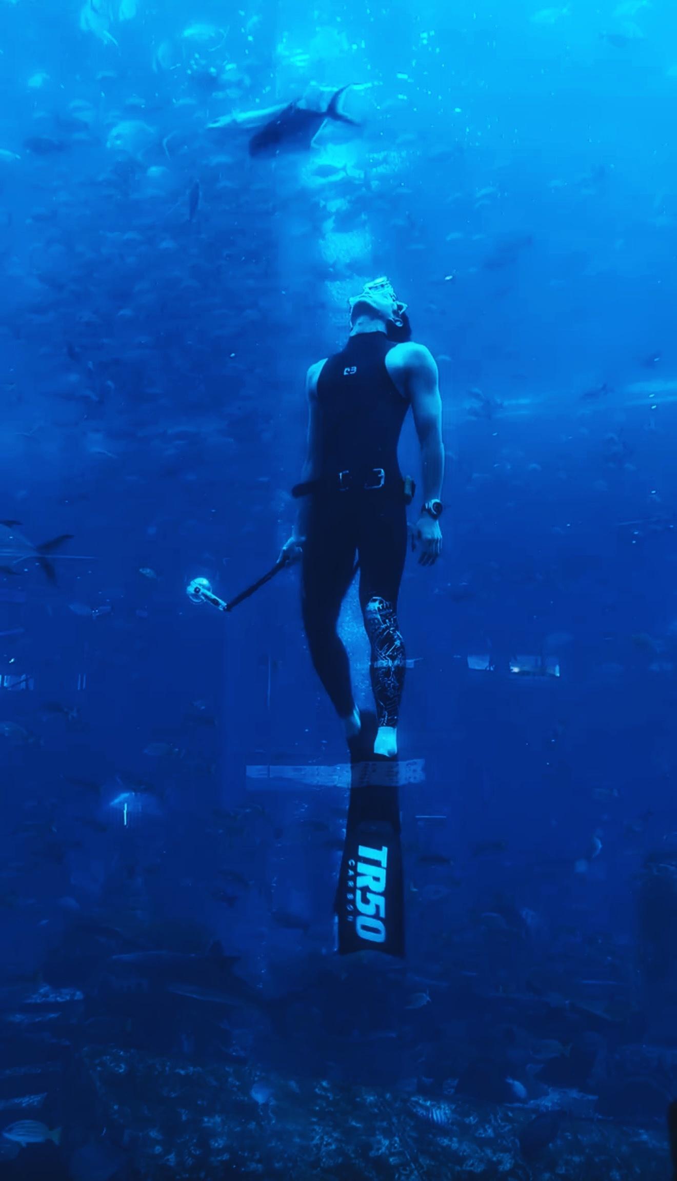 是神吧 水族馆的男美人鱼竟然是吴磊