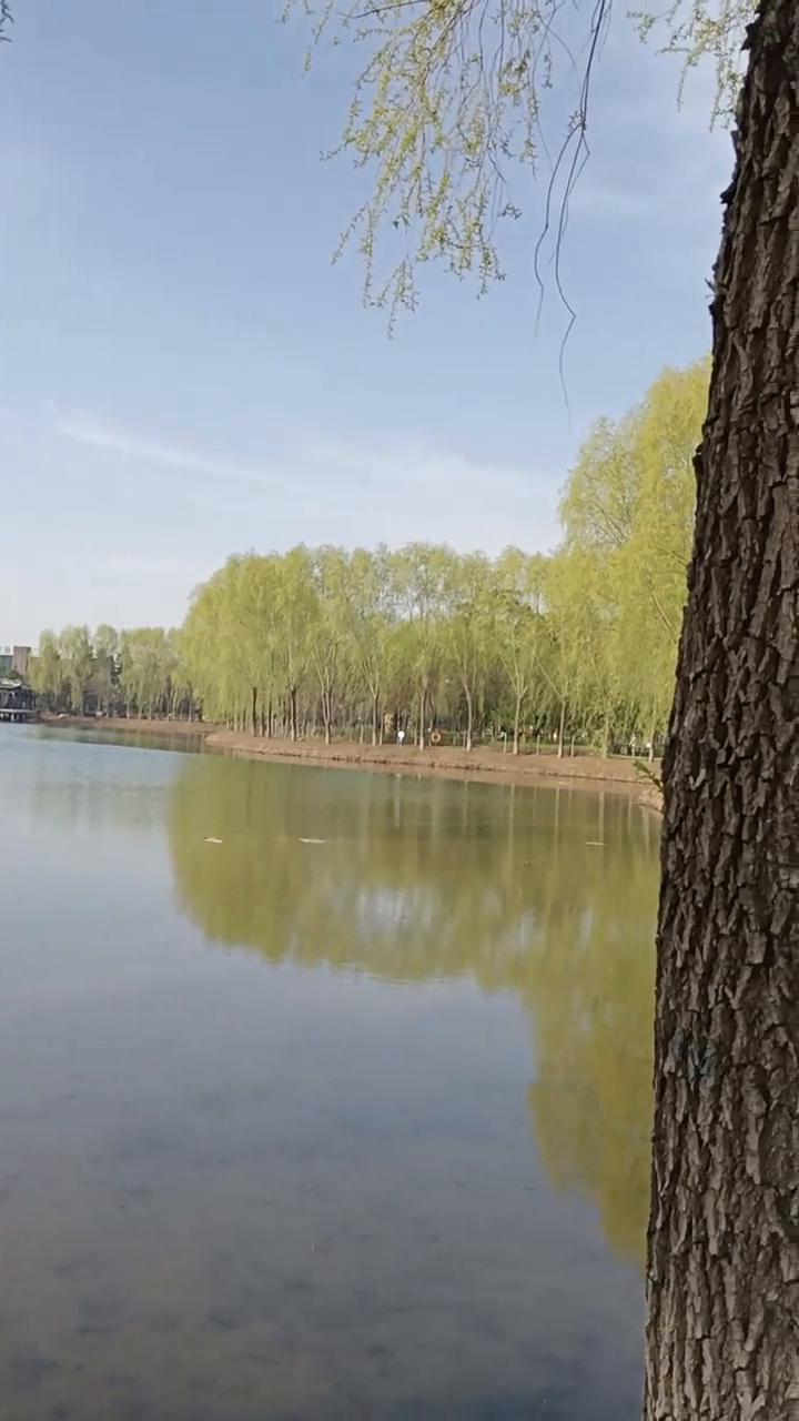 这里是德惠，吉林省德惠市归长春市管辖。记得小时候我就听过一则报道，是从广播里听到