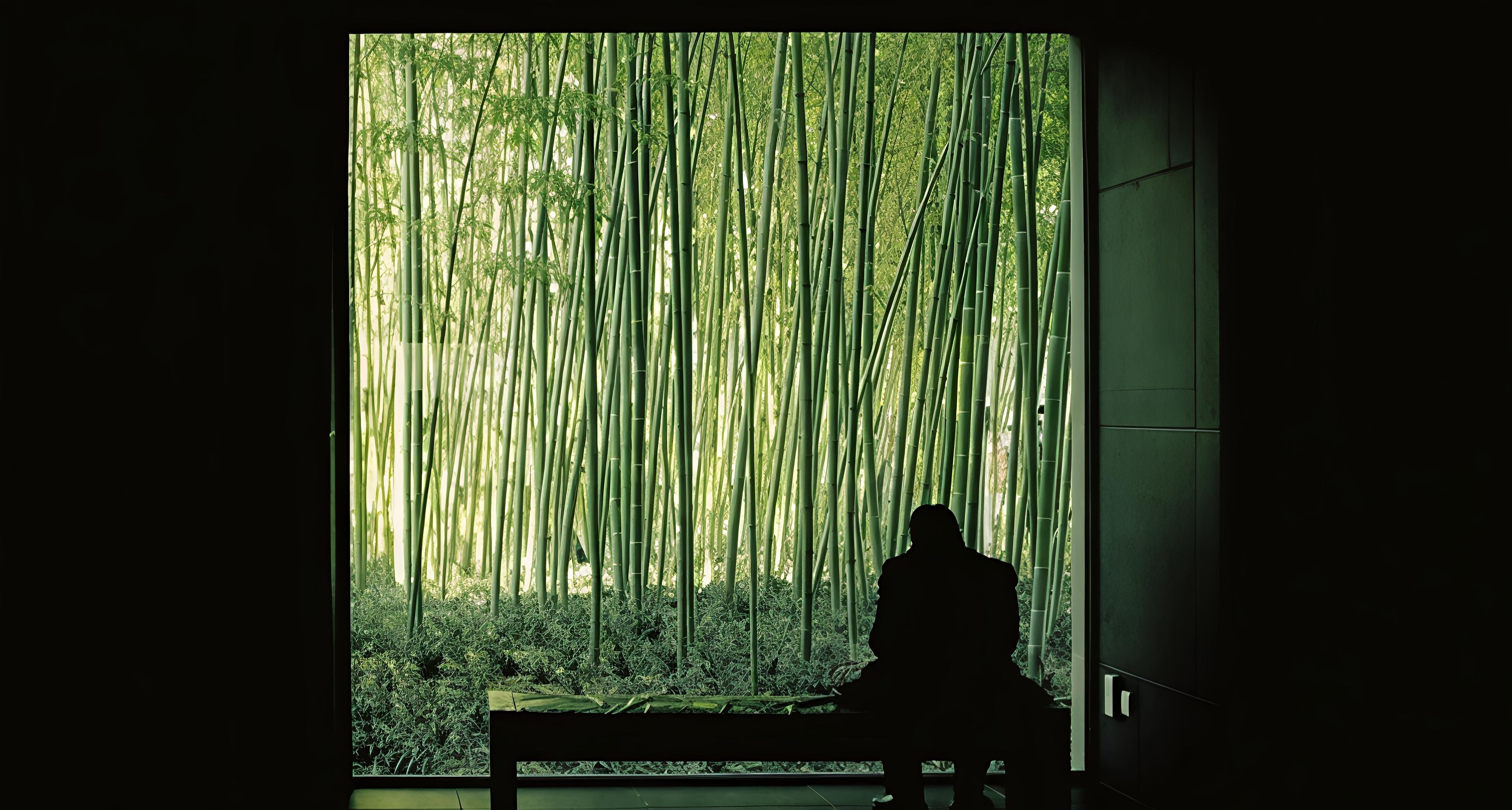 记忆如同长时间曝光，将无数瞬间压缩成一张永恒的照片。/杉本博司 