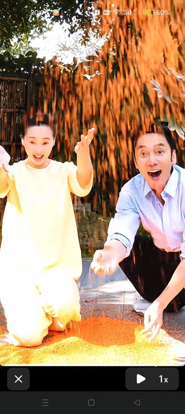 林依轮晒杭州小院 为妻子撒桂花雨