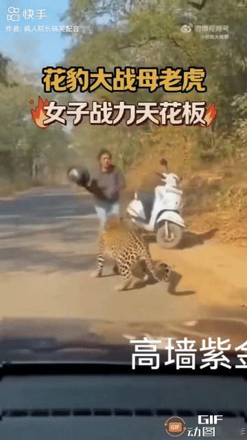 谁能想到出门骑摩托踏青散心，竟会凭空遇上野生豹子，换做普通人早就吓得魂飞魄散了。