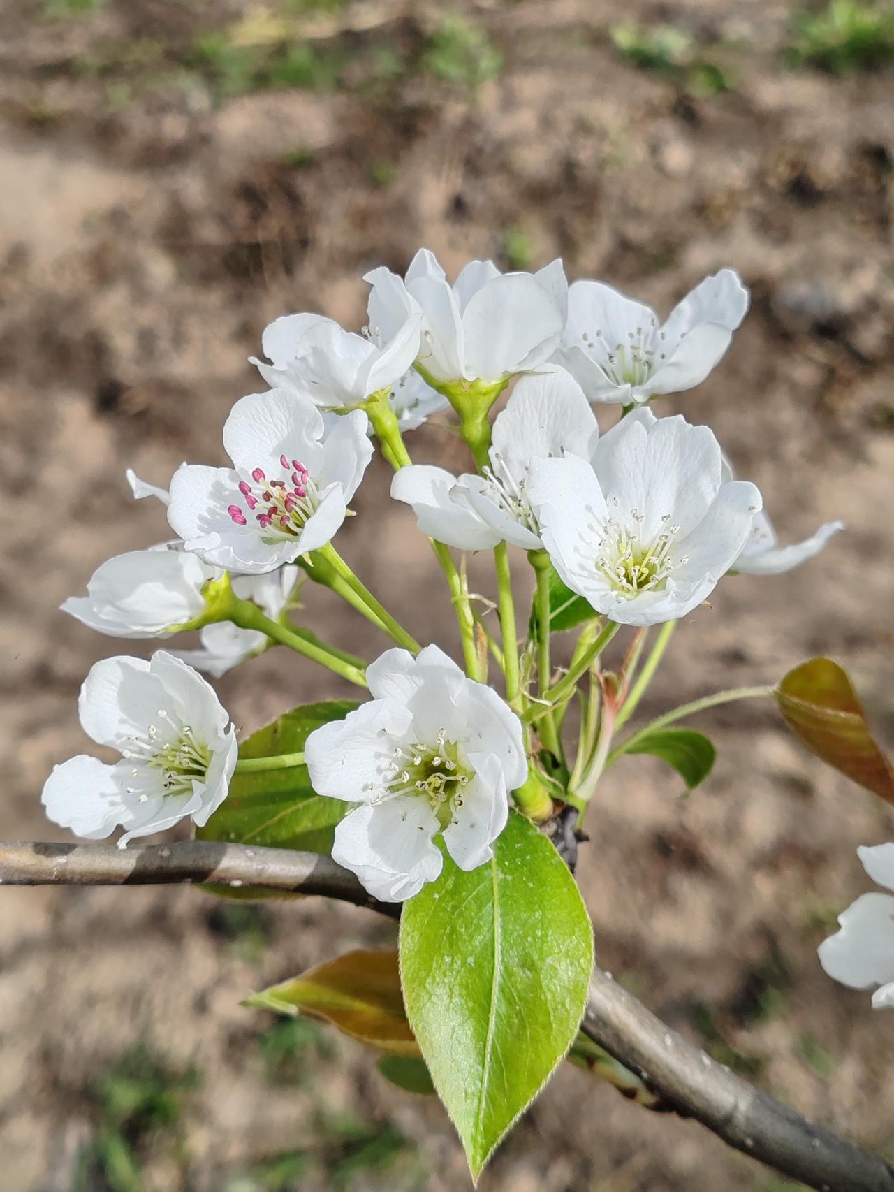 中国的殡葬制度源于视死如视生的理念。认为人死了只是从阳间转换到了阴间去过另一种生