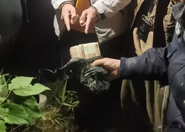 这起案件中，李某的行为涉嫌违法，具体分析如下：

行为涉嫌构成盗窃罪
根据《中华