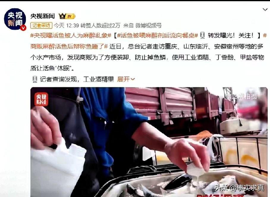 活鱼比死鱼危害性更大，利益大于生命。山东给鱼用麻药剂被央视曝光
近日，央视财经调