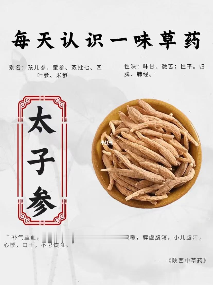 食疗食养，一味药食可同源的，你知道吗太子参味甘、苦，性平；归脾、肺经，具有补气生