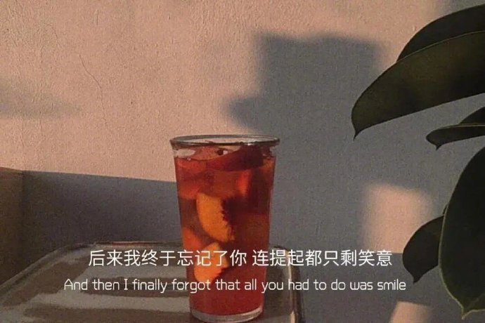 我慢慢自愈了，我要变好了，我开始追求有结果的人和事了，总有人翻山越岭为我而来，我