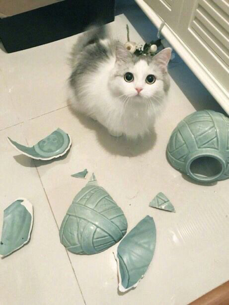 是地板干的 ​​​