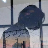 芽根热逛法律