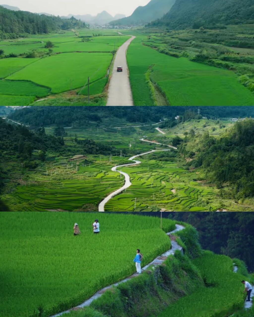国产剧里找到了梦中情村每到19点准时守着更新云逛贵阳乡村，远离车水马龙的喧嚣，满