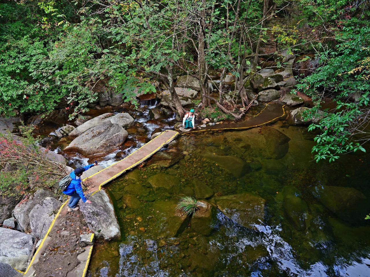 清泉，自山涌出，倾泻而下，穿越山林，袒露无遗。溪涧潺流，一湾碧玉，每一滴清澈的灵