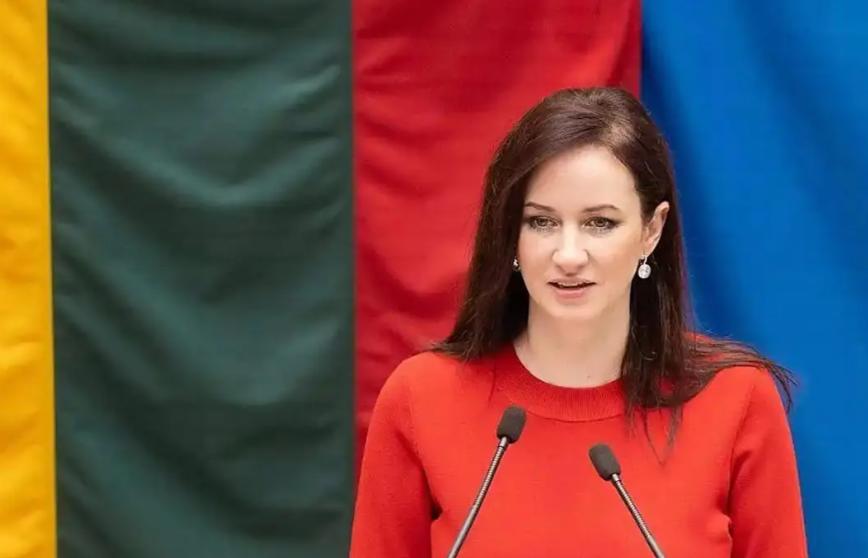 立陶宛议会警告：在对华发出缓和信号后，中国半年都没有回应，接下来不排除采取其他行