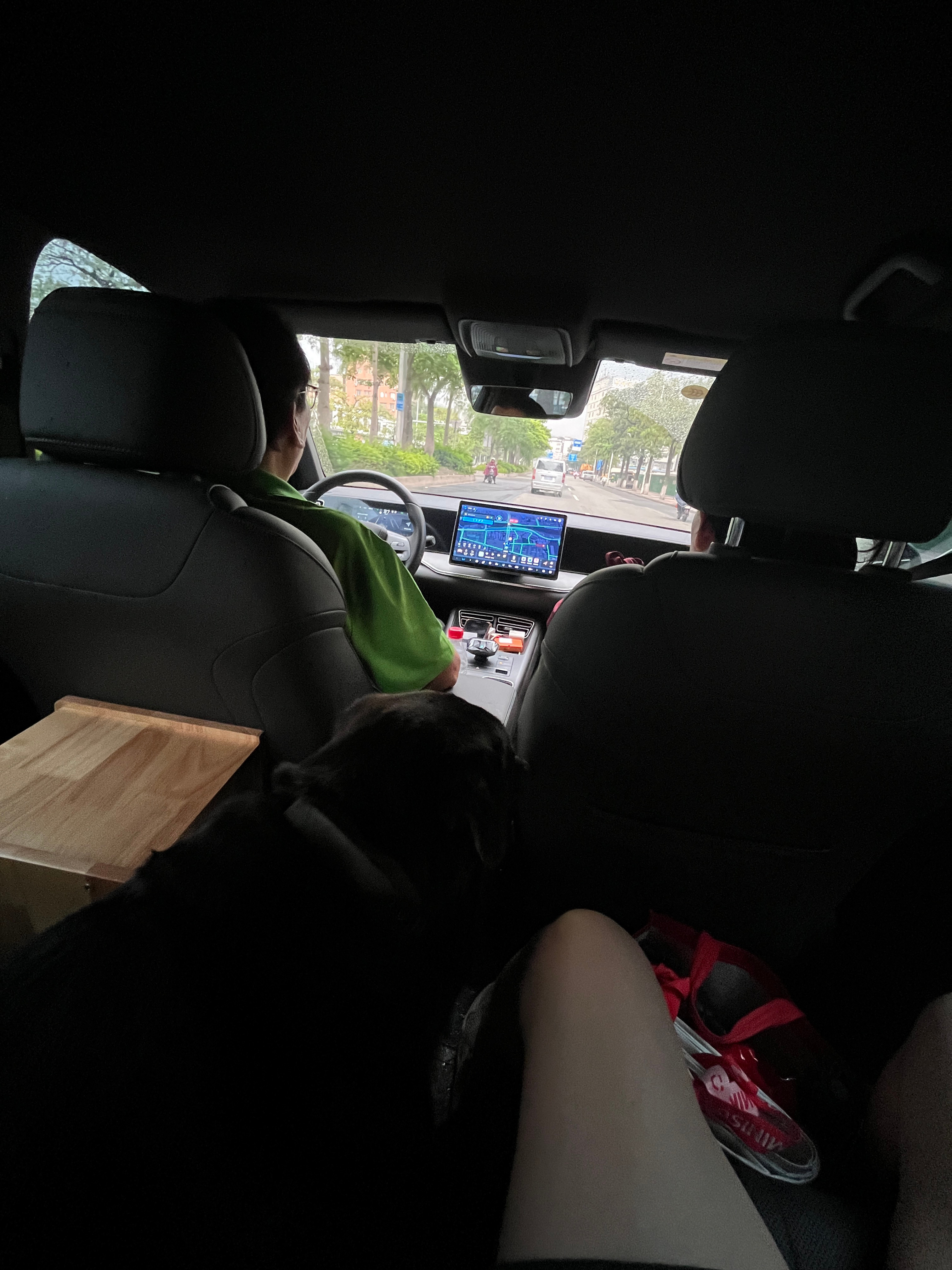 本周随拍来啦📸狗子坐车车🐶周一早八好塞车啊和爸妈一起帮忙搬东西📦超级累的！