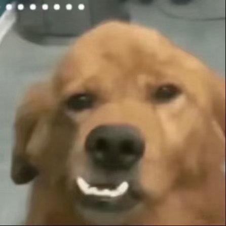 我想问一下姐妹们，我家阿姨总是乱丢东西 不是几千的护肤品就是护照还有没开封的隐形