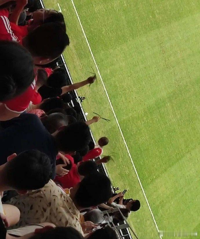 #足球##中超# 在正在进行的一场中超比赛中，蓉城暂3-0领先青岛西海岸。虽然主