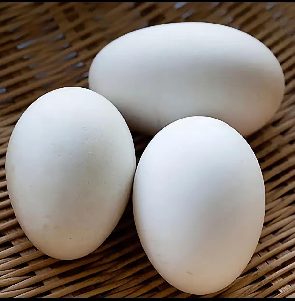 最近网上疯传鹅蛋能防癌、增强免疫力、还能治咳嗽，我也跟风吃了整整一个月，今天跟大