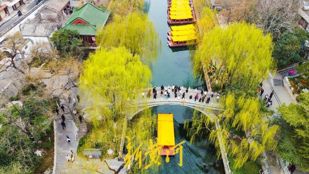 黑虎泉畔柳色新，济南护城河初现春日画卷！随着天气逐渐转暖，泉城的春意愈发浓郁。2