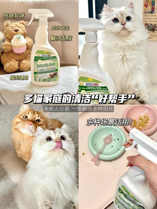 有了它 我终于和小猫乱尿和解了