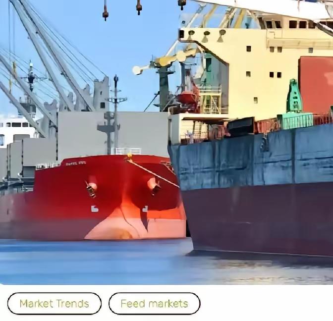 太令人气愤了！在中国口岸，一艘满载6.9万吨巴西大豆的货轮被查出混入农药处理的麦