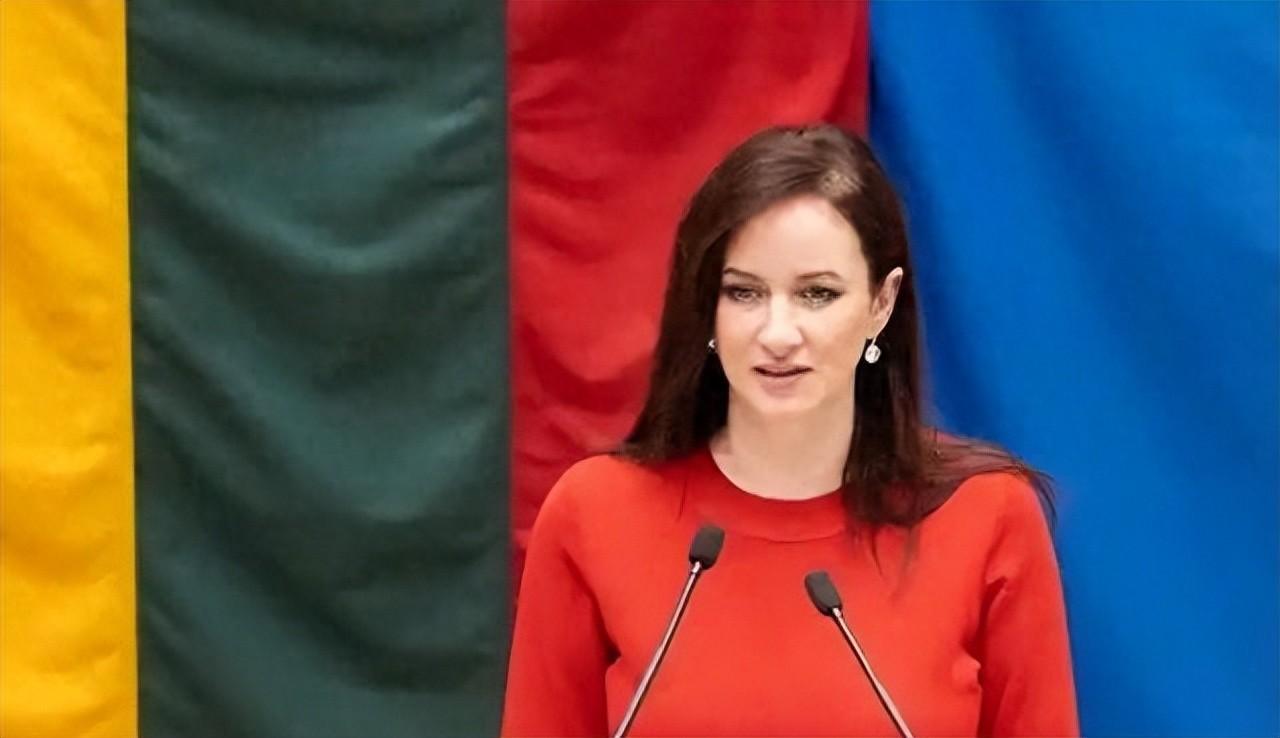 外交人员已撤离，中国方面提出的条件，立陶宛准备全部接受。可能很多网友刷到这条消息