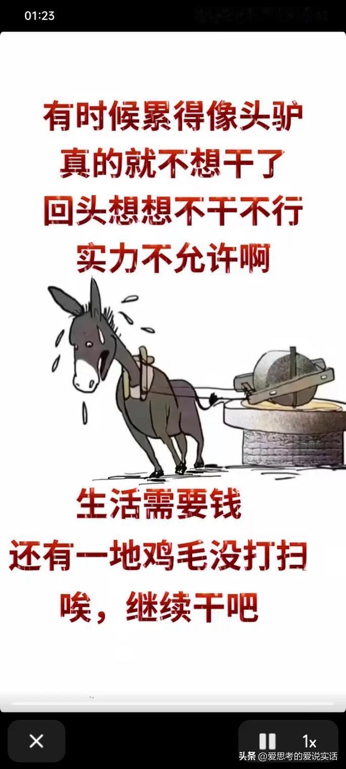 想不通，真的想不通！

现在企业这帮老板是把历史车轮当共享单车往沟里蹬呢！当年闹